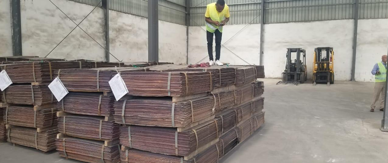 Sustainability background